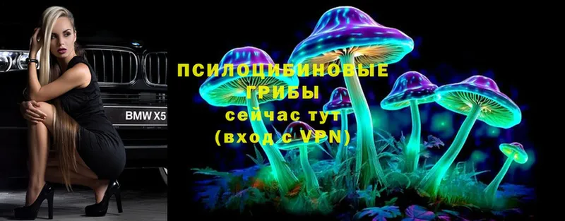 цена   Серпухов  Галлюциногенные грибы Magic Shrooms 